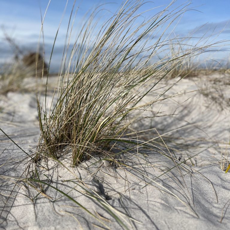 Marina Wendtorf Yachthafen an der Kieler Förde